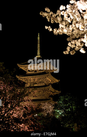 Pour-ji de nuit, fleur de cerisier, arbres, tourisme à Kyoto, Japon, Asie Banque D'Images