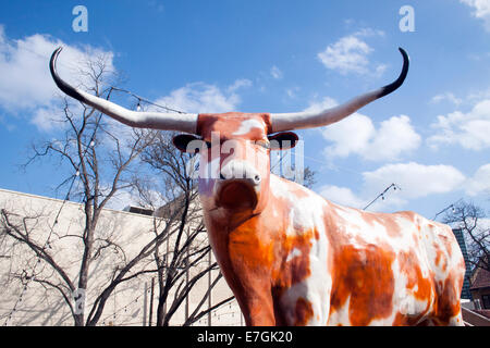 Long Horn géant steer à Austin au Texas Banque D'Images