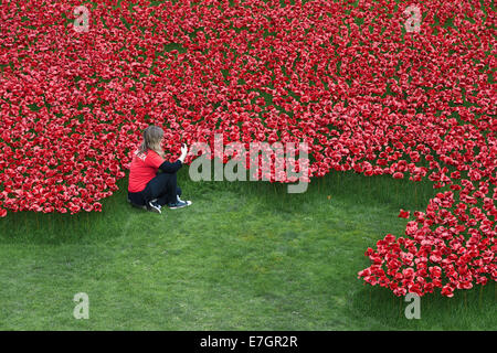 Jeune femme prend des photos de coquelicots commémoratifs à la Tour de Londres, Londres, Angleterre, Royaume-Uni Banque D'Images