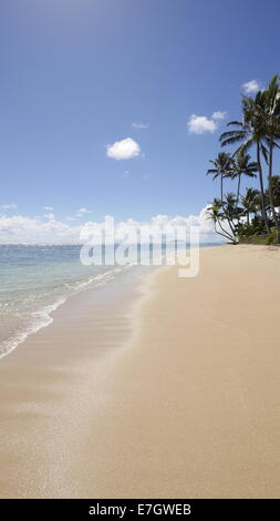 Le Parc de la plage de Kaaawa, Oahu, Hawaii Banque D'Images