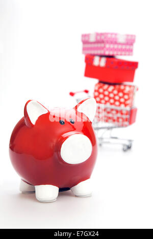 Budget pour don sur le fond blanc. Isolated on white Banque D'Images