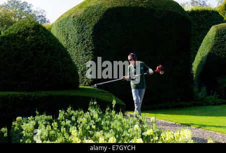Taille-haie d'exploitation de l'homme dans les jardins de topiaires Levens Hall, South Lakeland, Cumbria, Angleterre, Royaume-Uni Banque D'Images