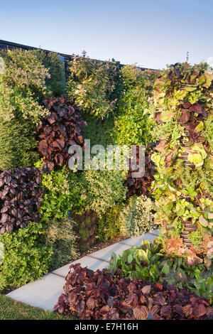 Jardin - un goût de Wythenshawe - murs et tours de cultures de salade de fruits et d'herbes - Designer - Reaseheath Banque D'Images