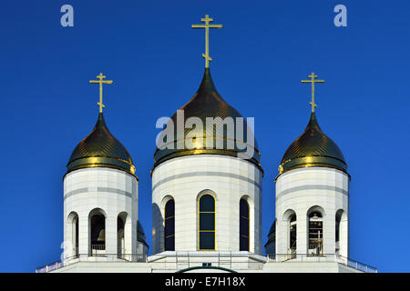 Les dômes de la Cathédrale du Christ Sauveur. Kaliningrad (anciennement Koenigsberg), Russie Banque D'Images