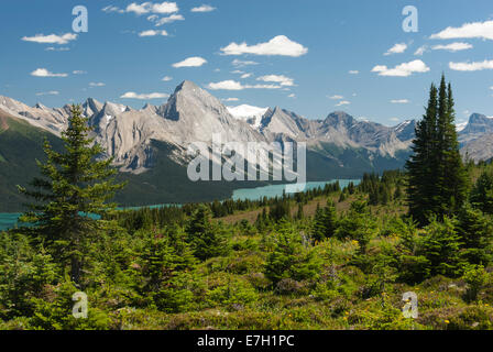 Elk203-7173 Canada, Alberta, parc national de Jasper, le lac Maligne, vue de collines Bald trail Banque D'Images