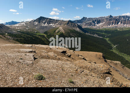 Elk203-7182 Canada, Alberta, parc national de Jasper, le lac Maligne, vue de collines Bald trail Banque D'Images