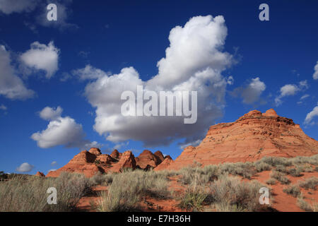 Nuages de tempête de rassemblement autour d'un trou de patte, Paria Canyon-Vermillion Cliffs Wilderness Area, Arizona Banque D'Images