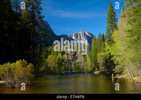 Les touristes à la recherche de Yosemite Falls, à côté de la rivière Merced, Yosemite Valley, Yosemite National Park, California, USA Banque D'Images