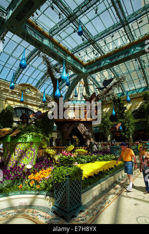 Fleurs dans la véranda et jardin botanique, Bellagio, Las Vegas, Nevada, USA Banque D'Images