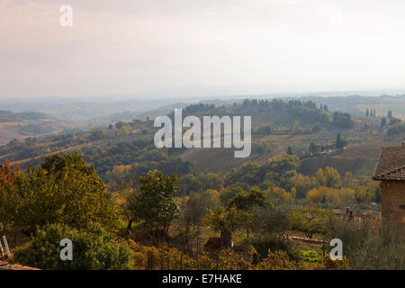 Vignoble en automne, dans la région du Chianti, Toscane,Italie. Banque D'Images