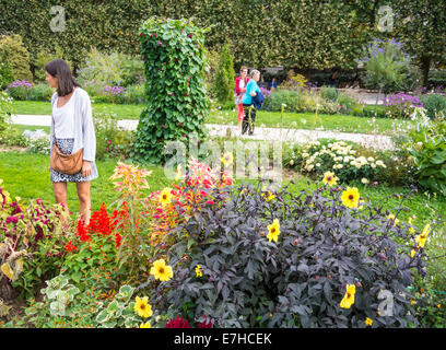 Un Caucasian woman looking at flowers en jardin des plantes en automne, Paris, France Banque D'Images