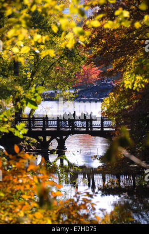 Automne dans Central Park Banque D'Images