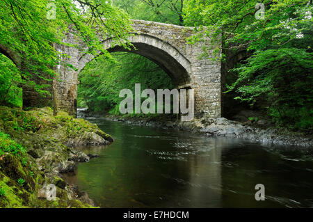 Holne Pont sur la rivière Dart, Dartmoor Banque D'Images