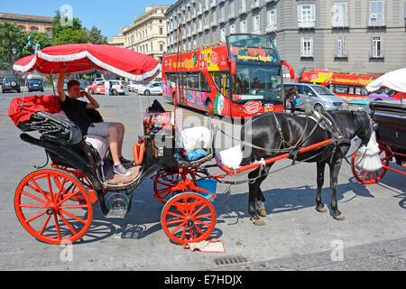 Horse and carriage tour ride en concurrence pour les clients touristiques avec bus à toit ouvert Banque D'Images