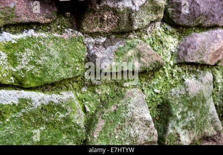 Mur de soutènement en pierre recouvert de mousse verte Banque D'Images