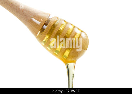 Le miel s'égouttant de bâton en bois isolé sur fond blanc Banque D'Images