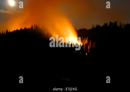 Flammes brûler à travers la forêt la nuit de la Happy Camp feu complexe dans la forêt nationale de Klamath, 17 septembre 2014 à Yreka, en Californie. Le feu a consommé 125 788 acres et est de 68  %. Banque D'Images