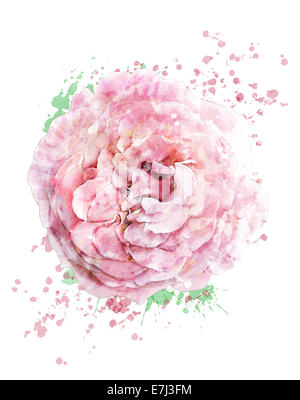 Aquarelle peinture digitale de Rose Rose Banque D'Images