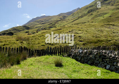 Ardoise traditionnels (clôture) Crawia et muret de pierres sèches ci-dessous Foel Goch dans le parc national de Snowdonia. Nant Ffrancon, Gwynedd, au nord du Pays de Galles, Royaume-Uni Banque D'Images