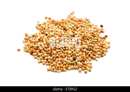 Tas de grains de mil isolé sur fond blanc Banque D'Images