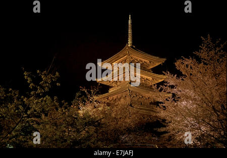 Pour-ji de nuit, fleur de cerisier, arbre, personnes, tourisme, art, voyage à Kyoto, Japon, Asie Banque D'Images