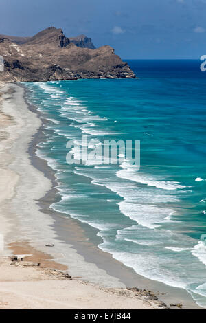 Côte, plage de Al Mughsail, Salalah Dhofar, région, Sultanat d'Oman, dans la péninsule arabique Banque D'Images