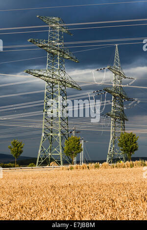 Haute tension nouvellement érigés pylônes du sud-ouest de l'Interconnector de l'opérateur du système de transmission 50 Hertz Banque D'Images