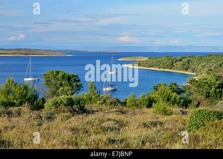 Yachts ancrés dans la baie, le Cap Kamenjak, Premantura, Istrie, Croatie Banque D'Images