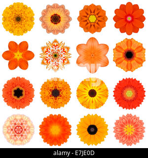 Grande collection de diverses fleurs orange concentrique. Les modèles Mandala kaléidoscopique isolé sur fond blanc. Concen Banque D'Images