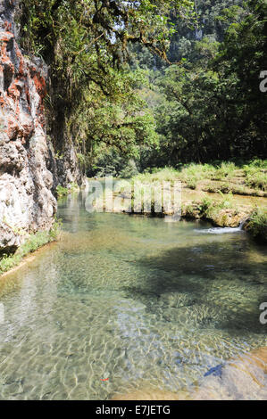 Le Guatemala, en Amérique centrale, Semuc Champey, Alta Verapaz, cahabon, extérieur, l'extérieur, des chutes, automne, forêt, lanquin, endroits, Banque D'Images