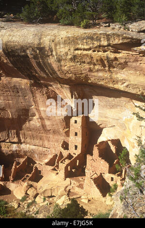 L'ancienne, d'habitations, de Mesa Verde National Park, Colorado, Banque D'Images