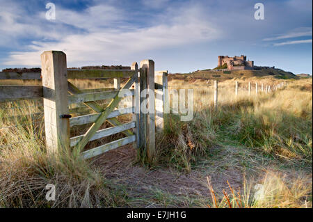 Château de Bamburgh, dunes de sable de Bamburgh, Bamburgh Northumberland, England, UK Banque D'Images