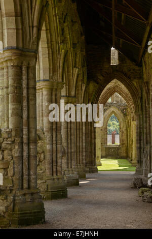 Un couloir qui traverse l'intérieur de vieilles arcades Abbaye de Tintern, Monmouthshire, Wales. Banque D'Images