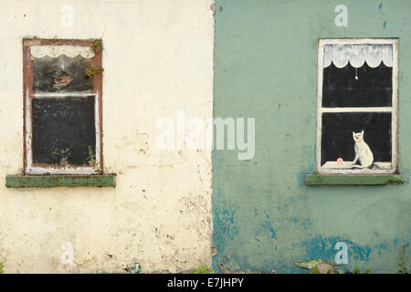 Une maison décorée avec de fausses fenêtres peintes à Limerick, Irlande. Banque D'Images