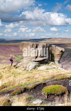 Walker sur la bordure nord des Scouts de Kinder, donnant sur Ashop Moor, parc national de Peak District, Derbyshire, Angleterre, RU Banque D'Images