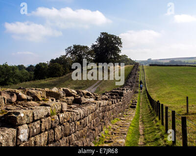 Mur d'Hadrien, sentier national : Mur d'Hadrien à Willowford Farm, Gilsland, Northumberland Banque D'Images