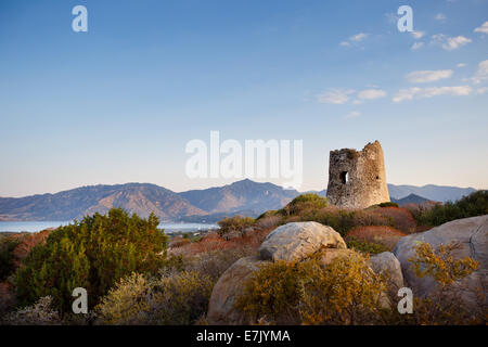 Tour côtière de Porto Giunco, Villasimius, Sardaigne, Italie Banque D'Images