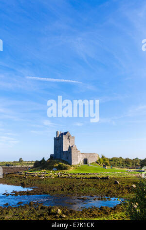 Dunguaire Castle, une tour 16thC maison près de Kinvarra, La Baie de Galway, comté de Galway, en République d'Irlande Banque D'Images