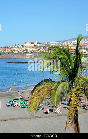 La plage de Torviscas, sur la Costa Adeje à Tenerife, Îles Canaries Banque D'Images