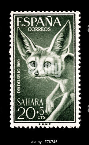 Semi-postal stamp du Sahara espagnol représentant un renard du désert. Banque D'Images