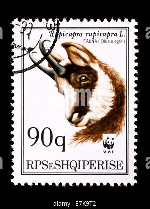 Timbre-poste d'Albanie représentant un chamois (Rupicapra rupicapra) Banque D'Images