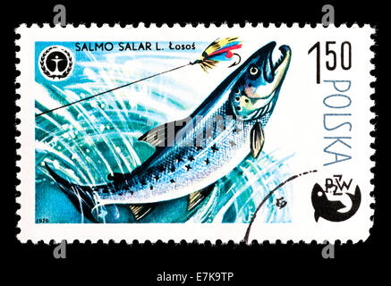 Timbre-poste de la Pologne représentant un saumon atlantique (Salmo salar) d'être pris par un pêcheur Banque D'Images