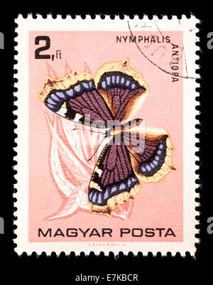 Timbre-poste de Hongrie représentant un manteau de deuil papillon (Nymphalis antiopa) Banque D'Images