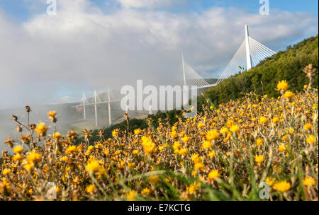 Viaduc de Millau sur l'autoroute A75 en France Banque D'Images