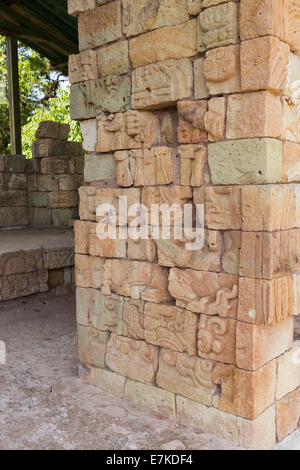 Acropole, Parc archéologique de Copan Ruinas, Copan, Honduras Banque D'Images