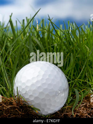 Balle de golf dans l'herbe Banque D'Images