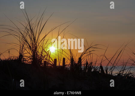 Clôture en bois et d'herbe avec Ciel de coucher du soleil à Cape Cod Banque D'Images