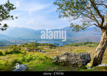 Paysage irlandais. Les lacs de Killarney vus de Ladies View sur le N71 Ring of Kerry, parc national de Killarney, comté de Kerry, République d'Irlande Banque D'Images