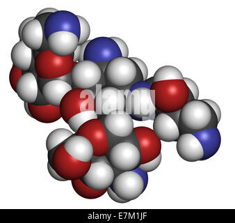 Molécule antibiotique aminoglycoside amikacine. Principalement utilisé comme traitement de dernier recours de bactéries à Gram négatif. Banque D'Images