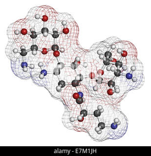 Molécule antibiotique aminoglycoside amikacine. Principalement utilisé comme traitement de dernier recours de bactéries à Gram négatif. Banque D'Images